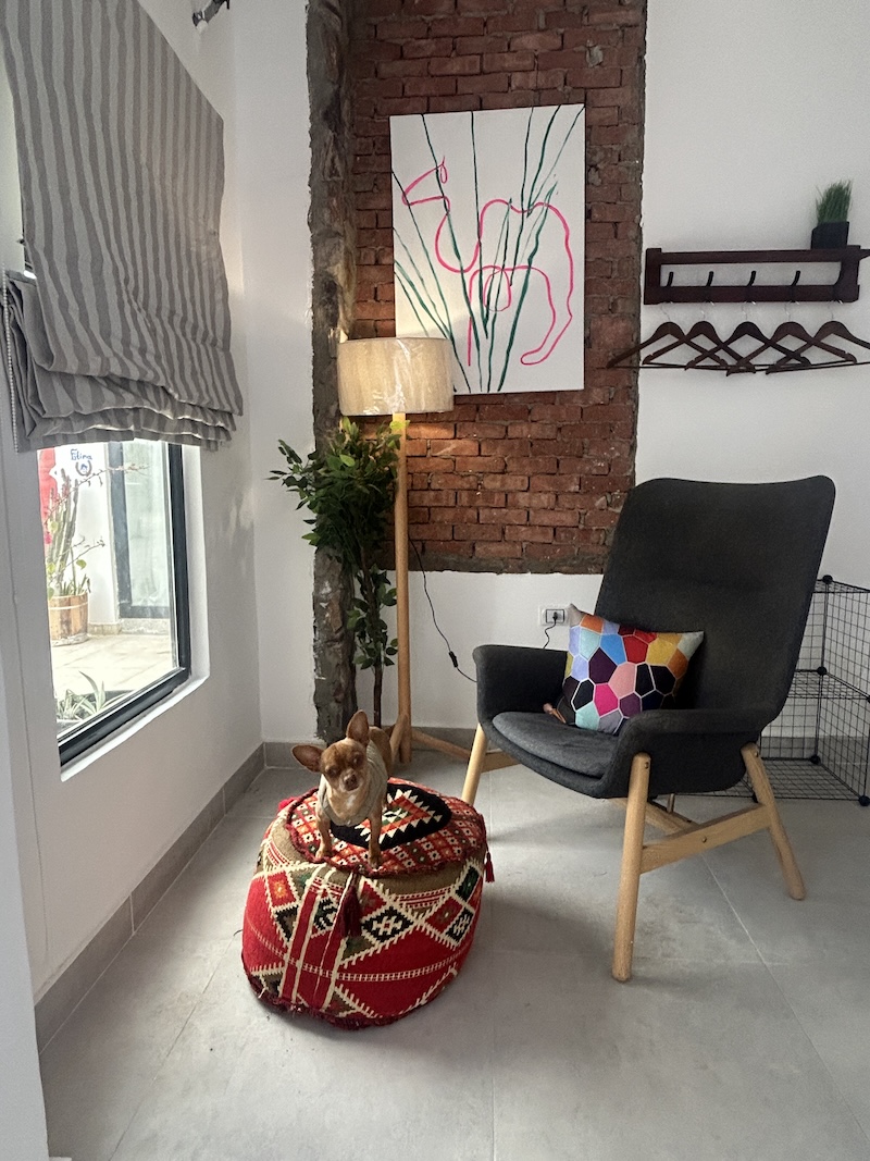 a room near giza pyramids in a horse stables horseriding
